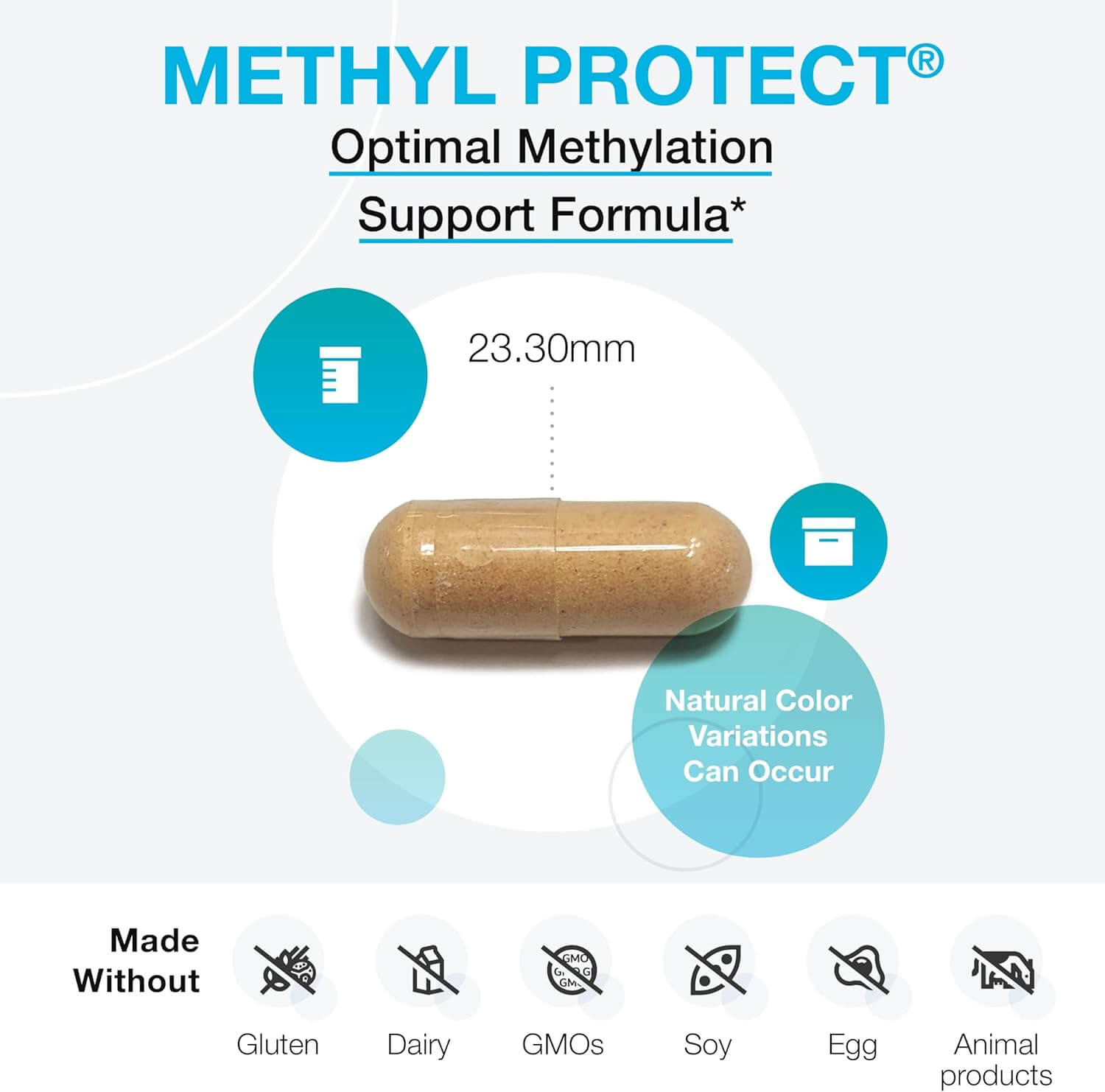 XYMOGEN Methyl Protect - Optimal Methylation Formula with Methyl Folate, Vitamin B12 (Methylcobalamin B12), Riboflavin + B6 Vitamins 120 Capsules | Free Shipping | Vitamenstore.com