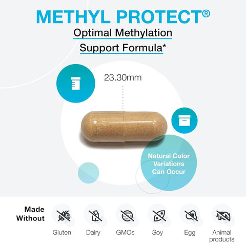 XYMOGEN Methyl Protect - Optimal Methylation Formula with Methyl Folate, Vitamin B12 (Methylcobalamin B12), Riboflavin + B6 Vitamins  120 Capsules