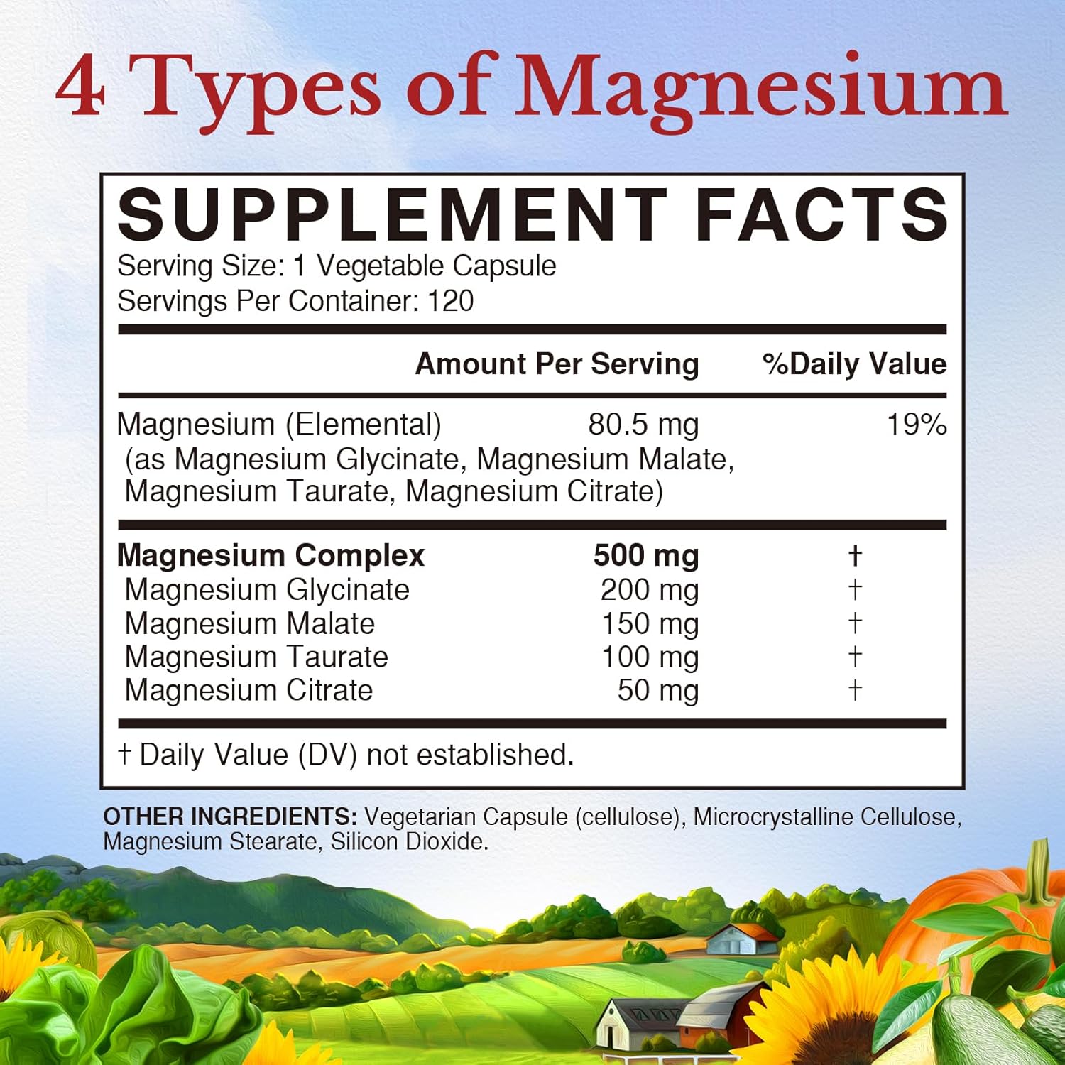 Vitalitown Magnesium Complex - 500mg Glycinate, Malate, Taurate, Citrate - 120 Vegan Capsules