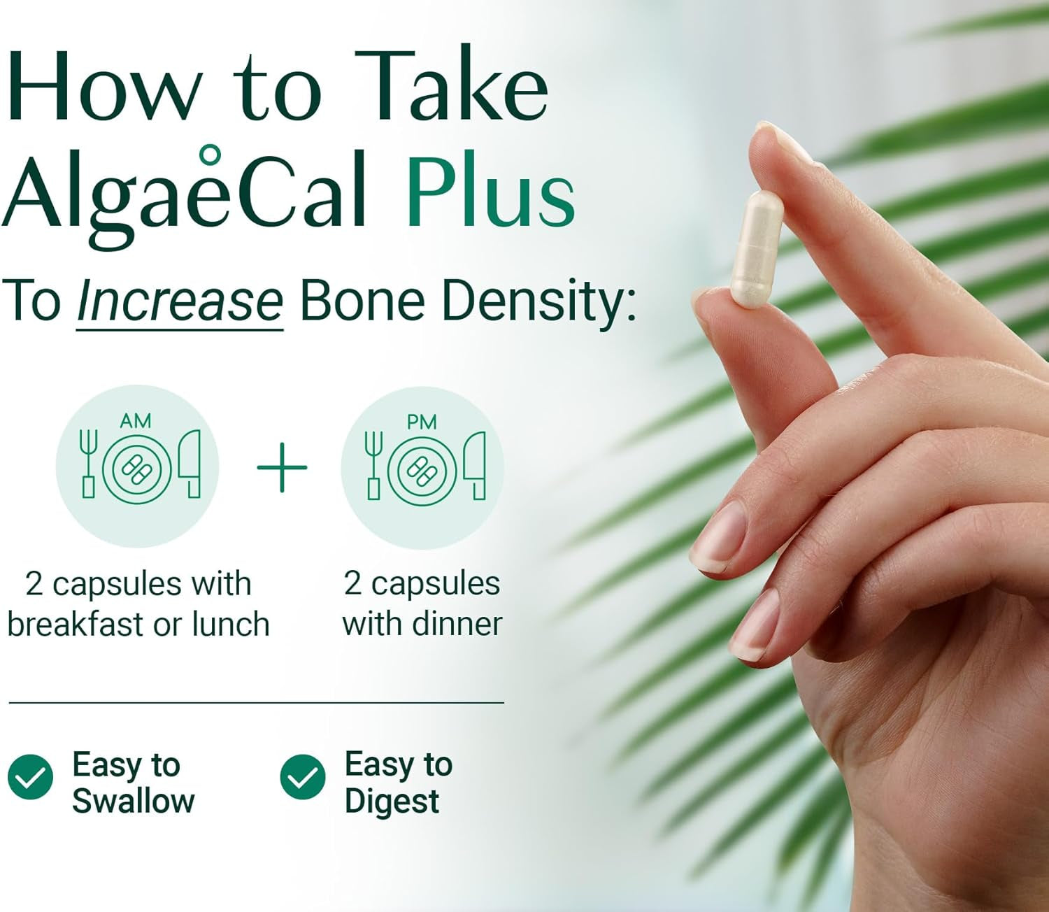 ALGAECAL plus - Organic Red Algae Calcium Supplement, Vitamin K2 (100Mg), Vitamin D3 (1600 IU), Magnesium (350Mg) & Trace Minerals, for Improved Bone Strength, Easy to Swallow, 3 Month Supply