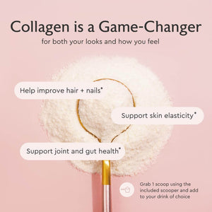 Alaya Multi Collagen Powder – Type I, II, III, V, X Hydrolyzed Collagen Peptides with MSM + GC, Unflavored – 40 Servings - Vitamen Store