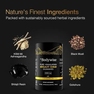 Be Bodywise Pure Himalayan Shilajit Gummies Gold – Ashwagandha, Gokshura, Fulvic Acid & 85+ Trace Minerals – Lab Tested, No Added Sugar, Non - GMO, 100% Natural & Organic – 60 Gummies - Vitamen Store