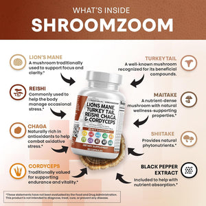 Clean Nutraceuticals Lions Mane 20In1 Mushroom Supplement with Turkey Tail Reishi Cordyceps Chaga Maitake Meshima Poria Cocos Shiitake Oyster Porcini Enoki - Pack - Vitamen Store