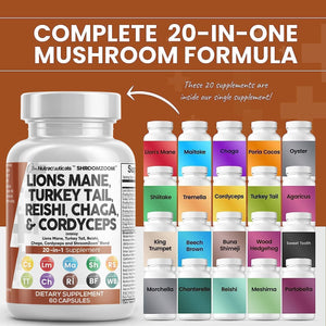 Clean Nutraceuticals Lions Mane 20In1 Mushroom Supplement with Turkey Tail Reishi Cordyceps Chaga Maitake Meshima Poria Cocos Shiitake Oyster Porcini Enoki - Pack - Vitamen Store