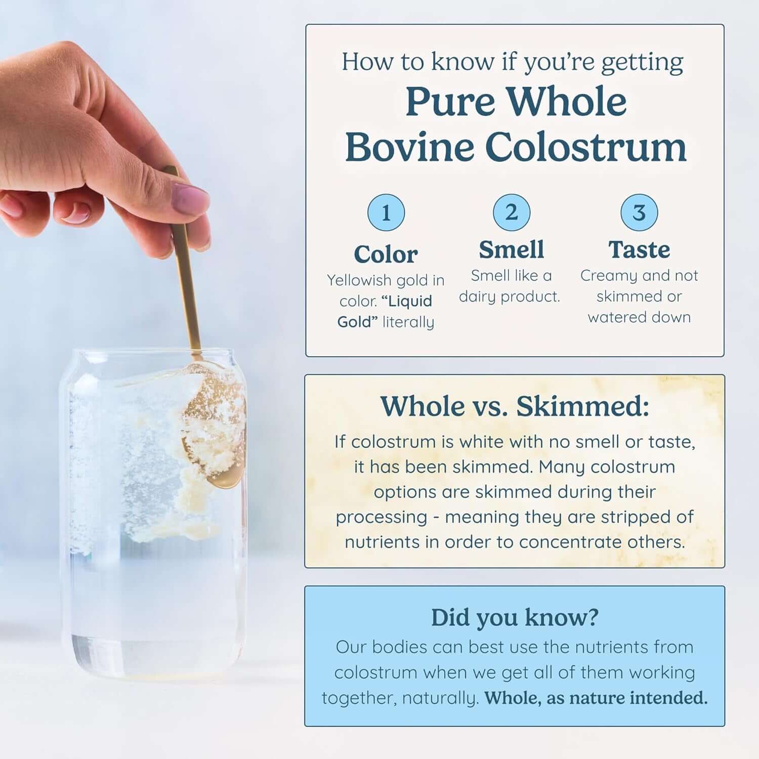 Colostrum Supplement Powder for Gut Health, Immune Support, Muscle Recovery & Wellness | Natural Igg Pure Whole Bovine Colostrum Superfood, Unflavored, 60 Servings - Vitamen Store