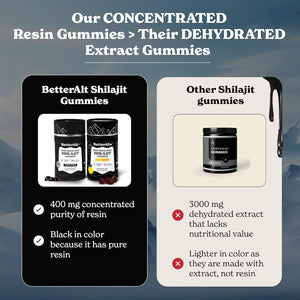 Himalayan Shilajit Gummies - Gold Grade Shilajit, 75%+ Fulvic Acid - Tamarind Flavor - 60 Count - Vitamen Store