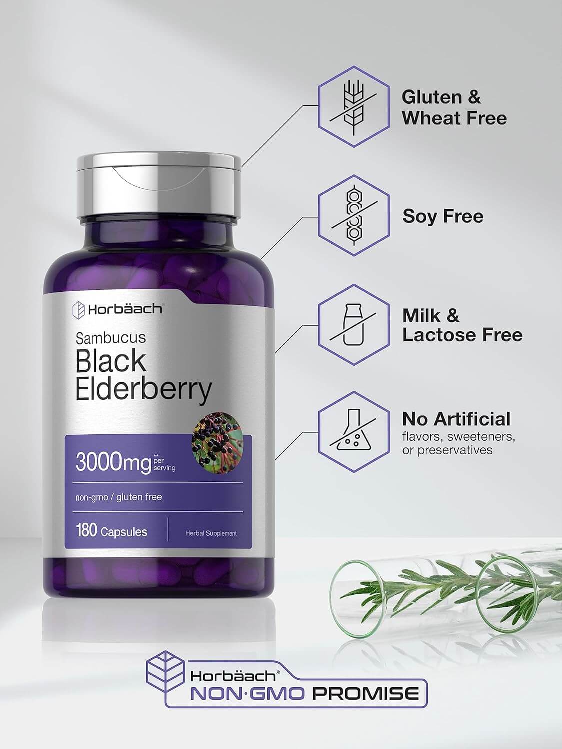 Horbäach Black Elderberry | 3000mg Capsules | 180 Count | Non - GMO, Gluten Free | Sambucus Extract Supplement - Vitamen Store