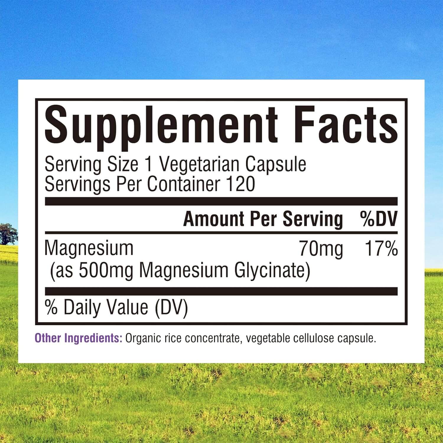 Innate Vitality Magnesium Glycinate 500Mg, 70Mg Elemental Magnesium per Cap, 120 Veggie Capsules - Vitamen Store