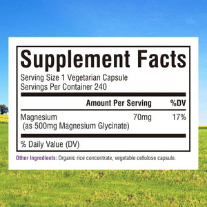 Innate Vitality Magnesium Glycinate 500Mg | 70Mg Elemental Magnesium Supplement - High Absorption, Non Buffered, Non - Gmo & No Gluten - Nerve, Muscle, Bone & Heart Health - 240 Caps, 8 Month Supply - Vitamen Store
