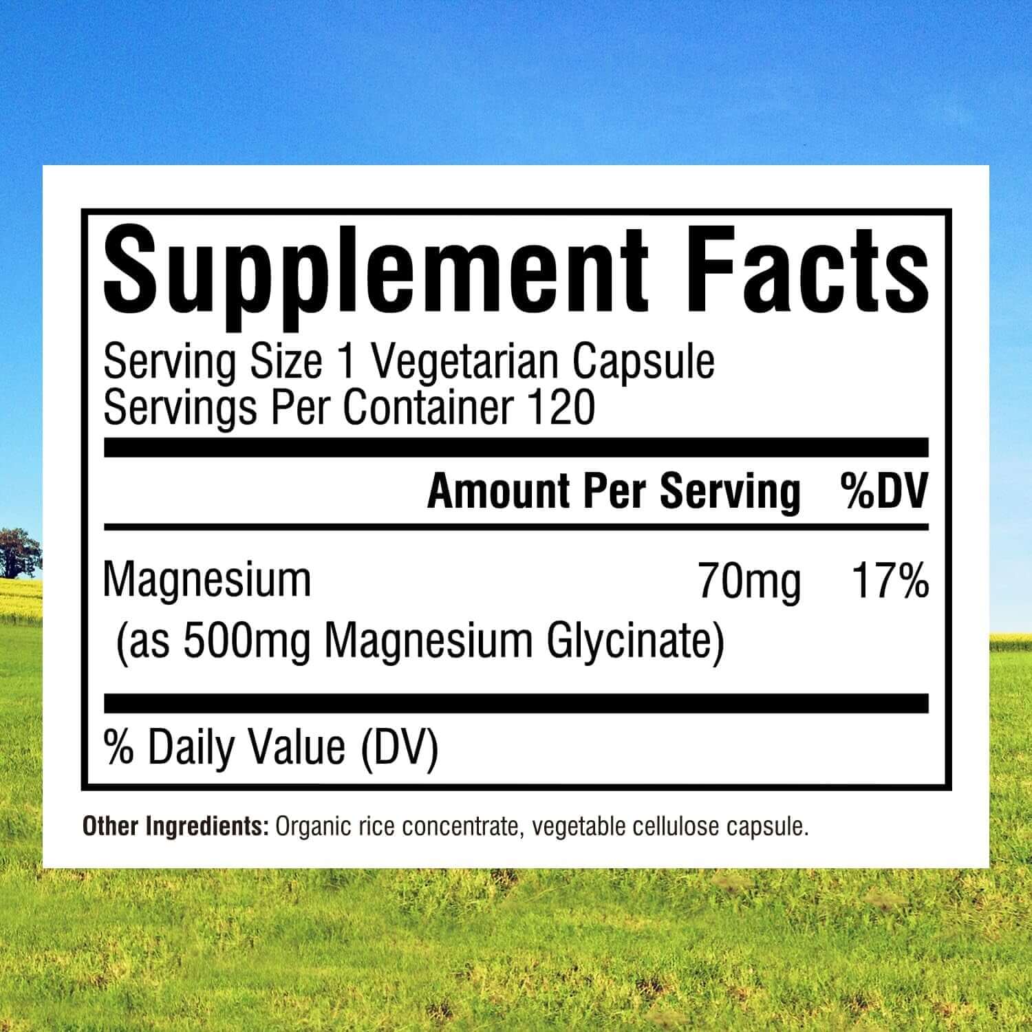 Innate Vitality Magnesium Glycinate 500Mg | 70Mg Elemental Magnesium Supplement - High Absorption, Non - Gmo & No Gluten - 240 Vegan Capsules Magnesio - Vitamen Store