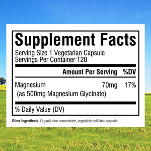 Innate Vitality Magnesium Glycinate 500Mg | 70Mg Elemental Magnesium Supplement - High Absorption, Non - Gmo & No Gluten - 240 Vegan Capsules Magnesio - Vitamen Store
