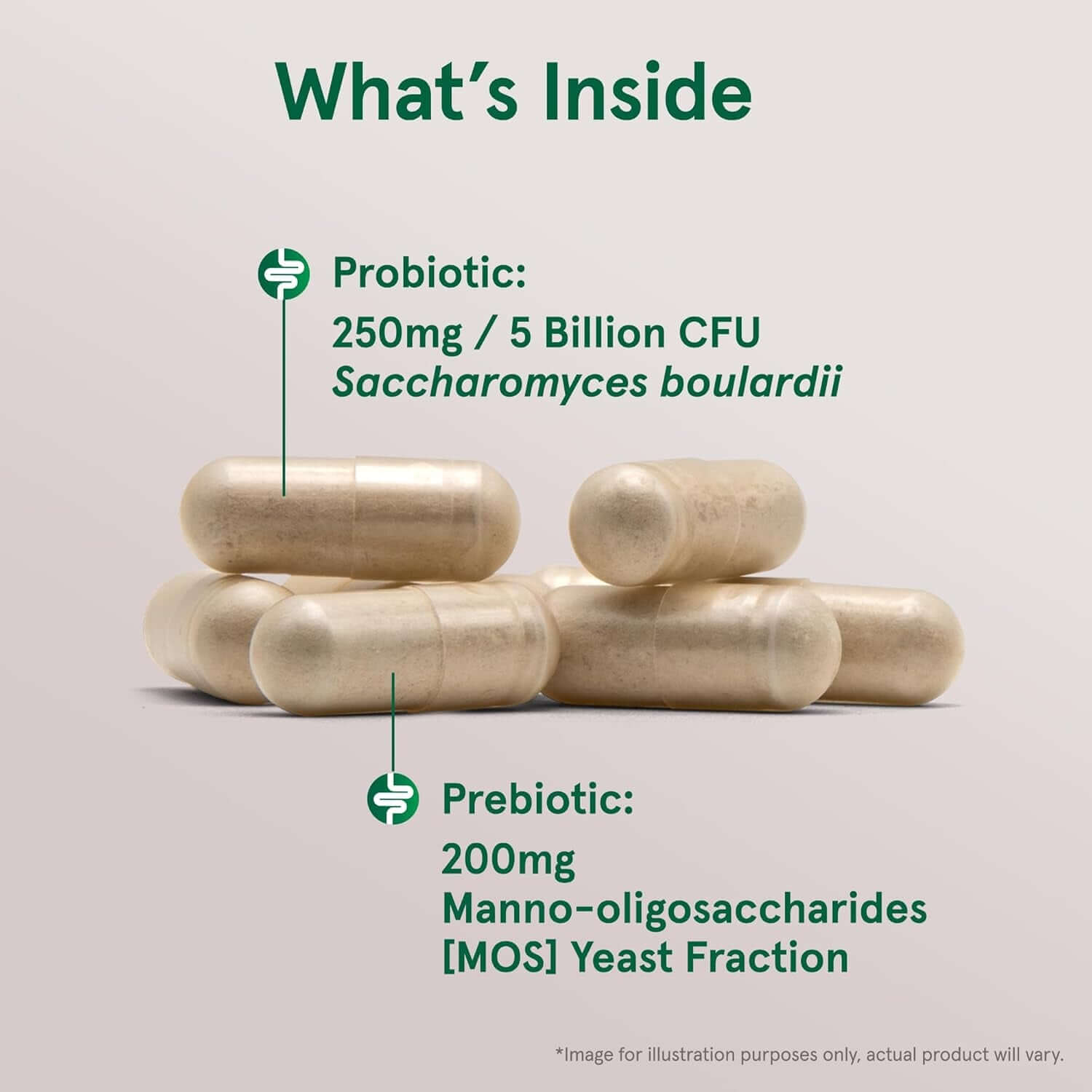 Jarrow Formulas Saccharomyces Boulardii Probiotics + MOS 5 Billion CFU Probiotic Yeast for Intestinal Health Support, Gut Health Supplements for Women and Men, 180 Veggie Capsules, 180 Day Supply - Vitamen Store