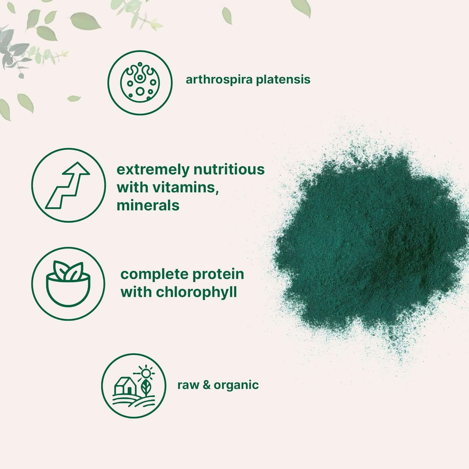 Micro Ingredients Organic Spirulina Powder – 16 oz Raw Arthrospira Platensis, 70% Vegan Protein, Rich in Minerals & Vitamins – Non‑GMO & Non‑Irradiated - Vitamen Store