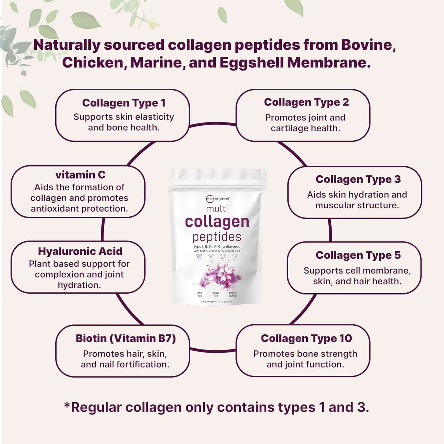 Multi Collagen Protein Powder, 2Lbs – Hydrolyzed Collagen Peptides | Type I,II,III,V,X with Biotin 10000Mcg, Hyaluronic Acid, Vitamin C – Unflavored – Keto & Paleo Friendly, Easy Dissolve, Non - Gmo - Vitamen Store