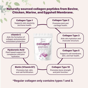 Multi Collagen Protein Powder, 2Lbs – Hydrolyzed Collagen Peptides | Type I,II,III,V,X with Biotin 10000Mcg, Hyaluronic Acid, Vitamin C – Unflavored – Keto & Paleo Friendly, Easy Dissolve, Non - Gmo - Vitamen Store