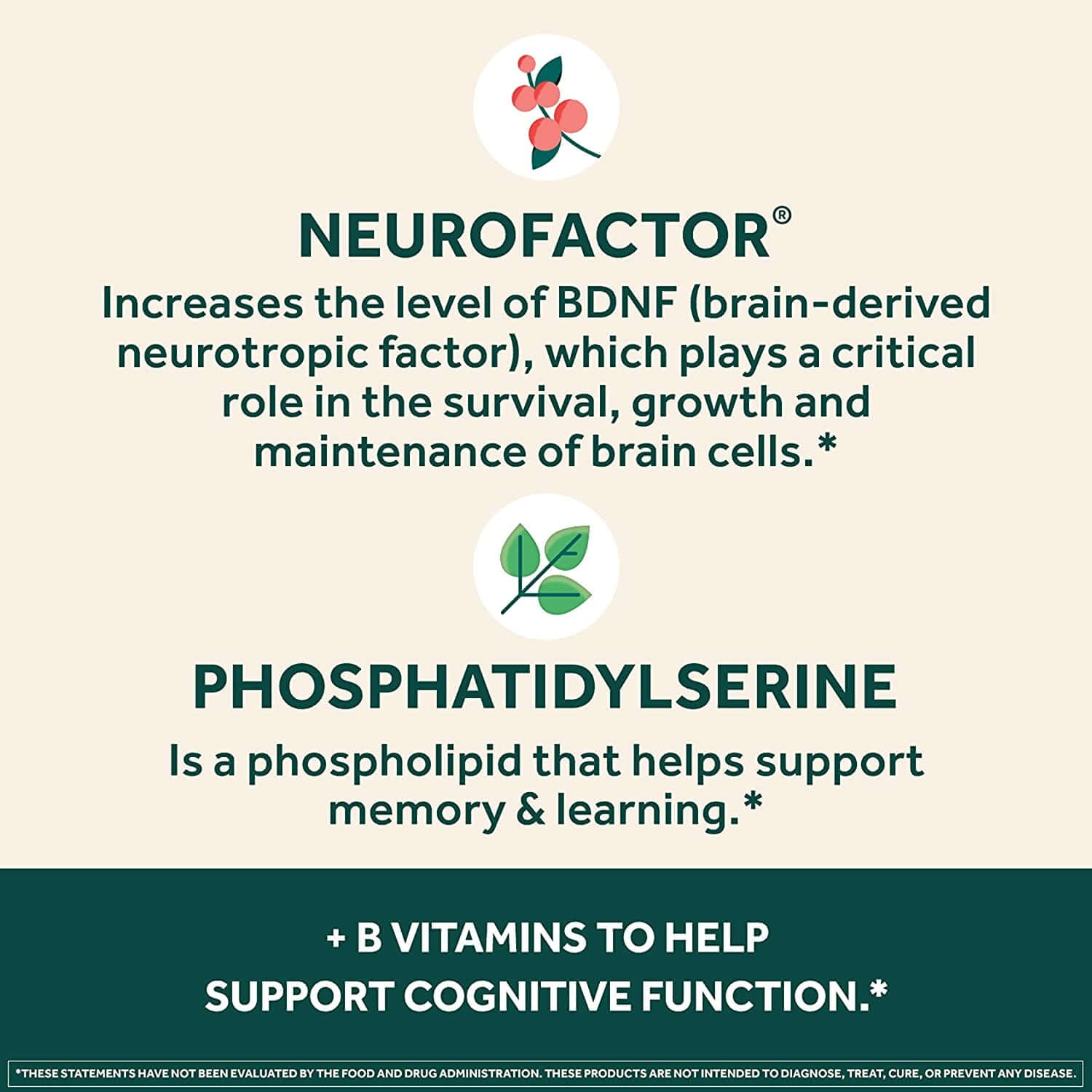NEURIVA plus Brain Supplement for Memory and Focus Clinically Tested Nootropics for Concentration for Mental Clarity, Cognitive Enhancement Vitamins B6, B12, Phosphatidylserine 30 Capsules - Vitamen Store