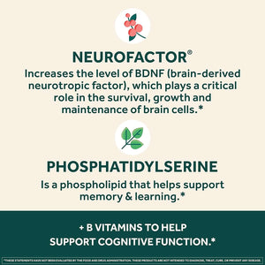 NEURIVA plus Brain Supplement for Memory and Focus Clinically Tested Nootropics for Concentration for Mental Clarity, Cognitive Enhancement Vitamins B6, B12, Phosphatidylserine 30 Capsules - Vitamen Store