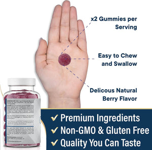 NEW AGE Zinc Gummies – 50mg Zinc Supplement – 2 Pack, 120 Gummies – Non - GMO - Vitamen Store