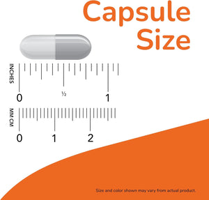 NOW Foods Quercetin with Bromelain - 240 Veg Capsules - Vitamen Store