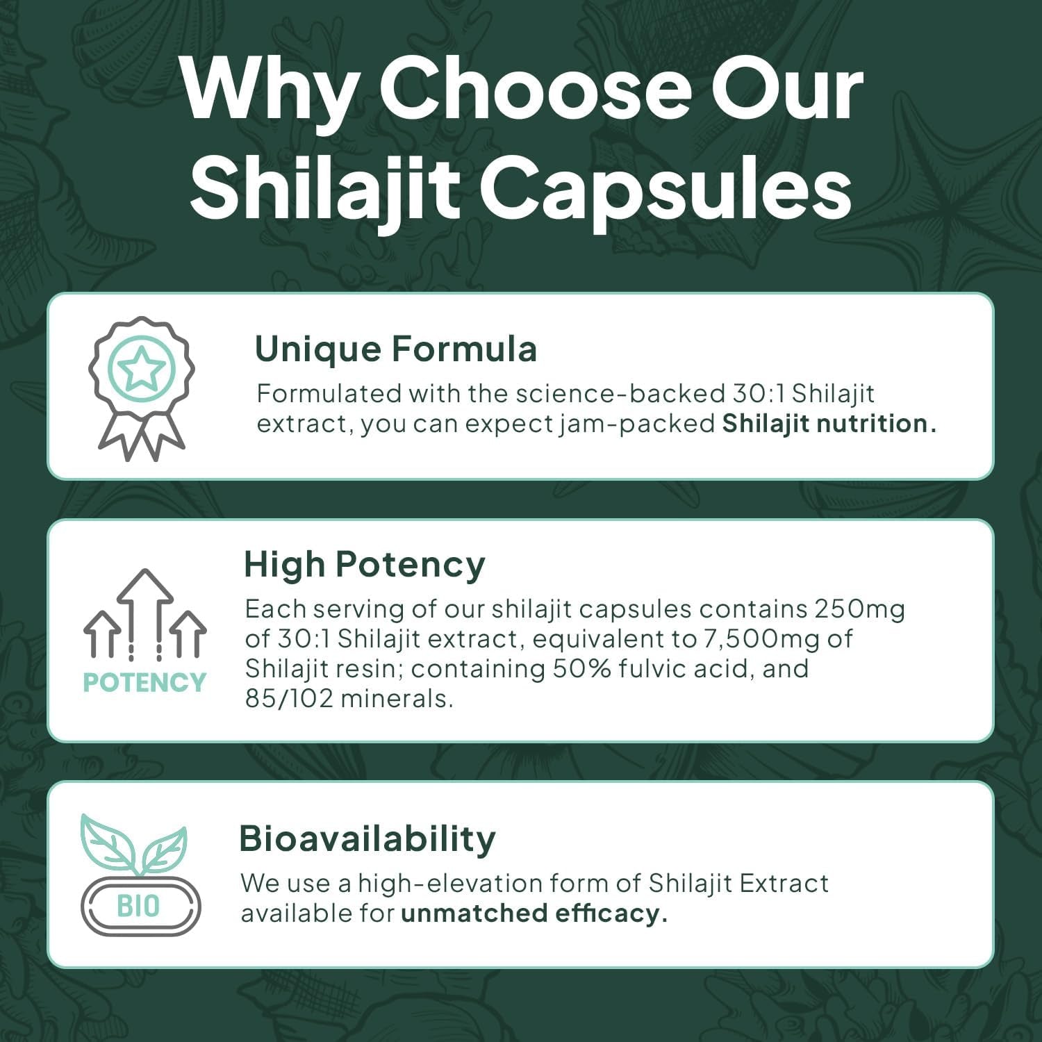 One - Per - Day Shilajit Capsules – Natural Shilajit Supplement – 30 Count - Vitamen Store