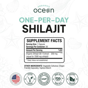 One - Per - Day Shilajit Capsules – Natural Shilajit Supplement – 30 Count - Vitamen Store