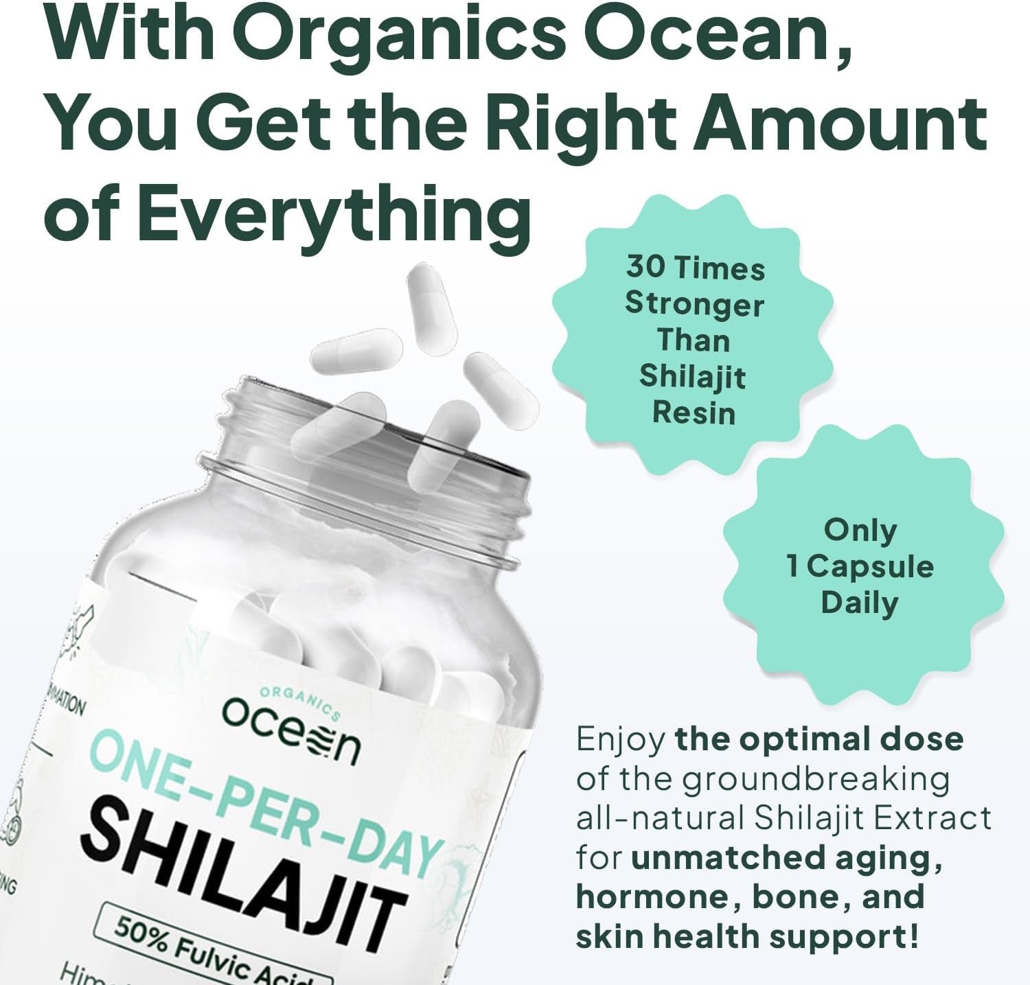 One - Per - Day Shilajit Capsules – Natural Shilajit Supplement – 30 Count - Vitamen Store