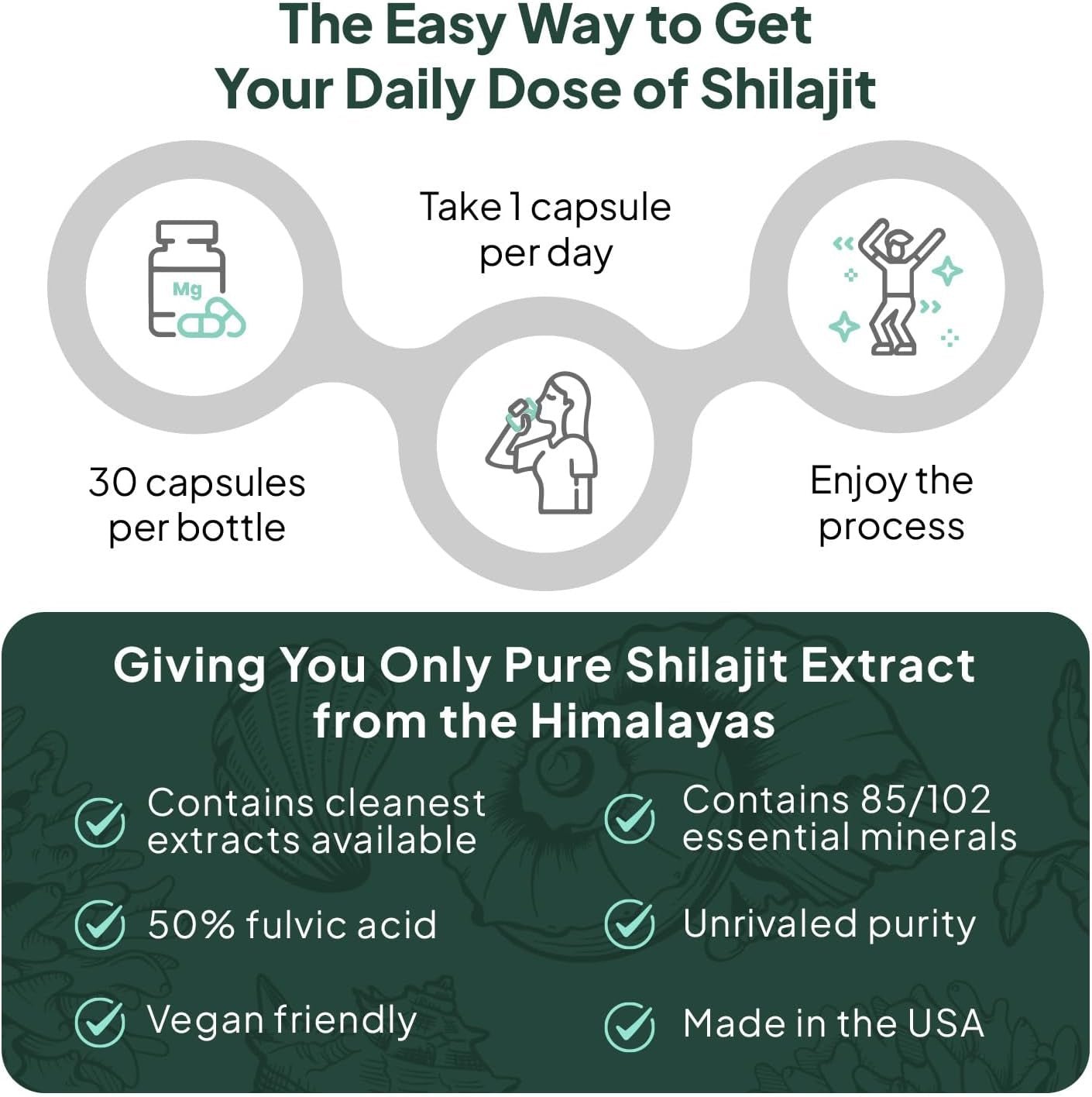 One - Per - Day Shilajit Capsules – Natural Shilajit Supplement – 30 Count - Vitamen Store