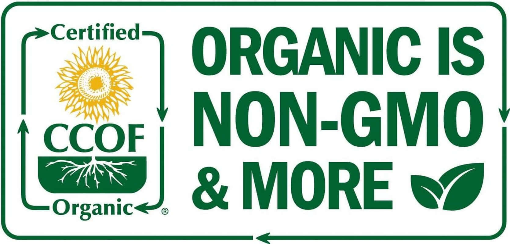 Oregano Oil Organic Liquid Drops - 100% Pure & Undiluted - Usda - Certified Organic (1 Oz) 75% Carvacrol - Grown in Spain - Immune Support Supplement with Oil of Oregano. - Vitamen Store