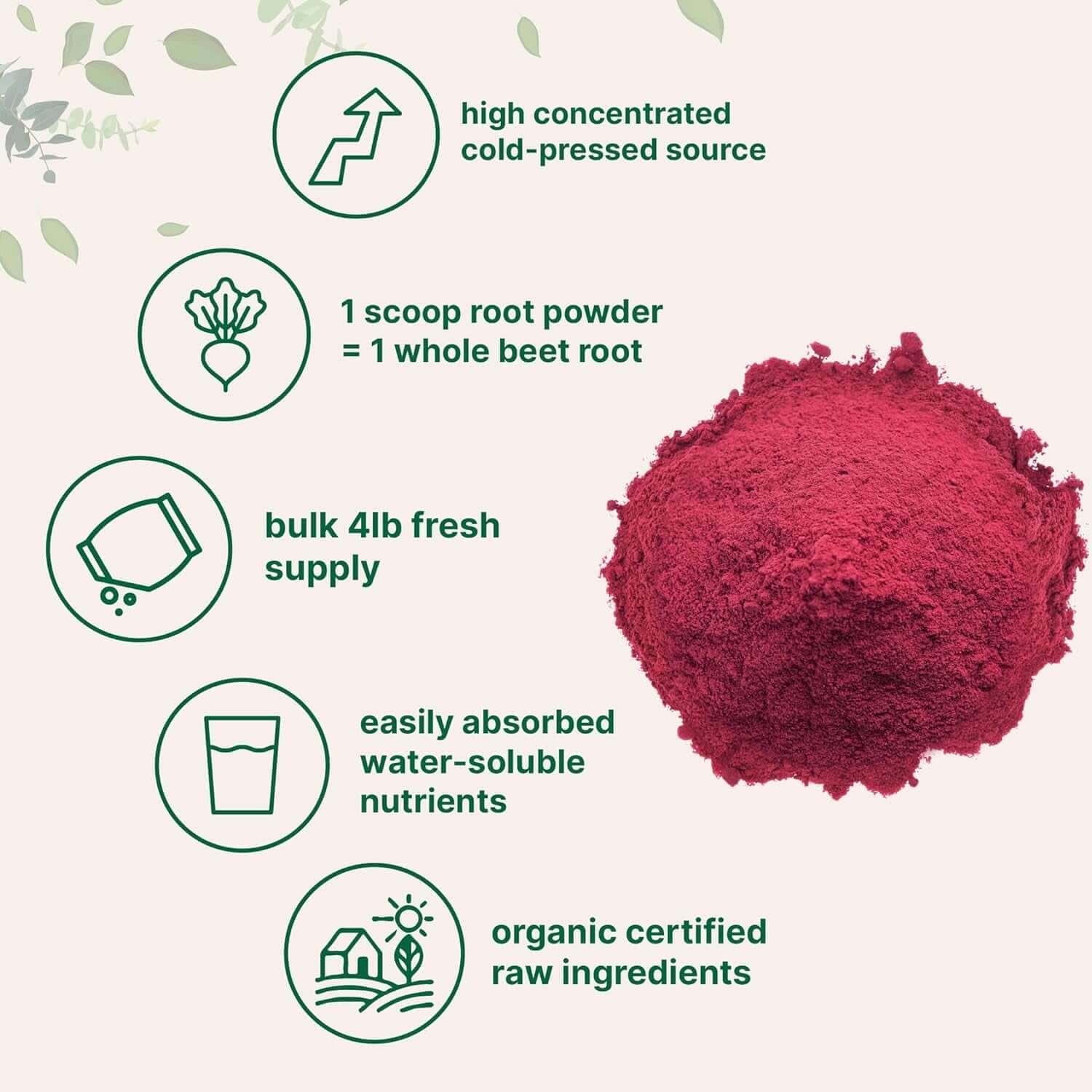Organic Beet Root Powder, 4 Pounds | Cold Pressed, Water Soluble, High Concentrated Raw Beet Supplement | Superfood Drink Mix | Non - Gmo, Vegan Friendly, Plant Based - Vitamen Store