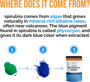 Organic Blue Spirulina Powder – 120 Servings, 100% Pure Blue‑Green Algae – Natural Food Coloring for Smoothies & Protein Drinks – USDA Certified, Non‑GMO, Gluten‑Free, Vegan, No Fishy Smell - Vitamen Store