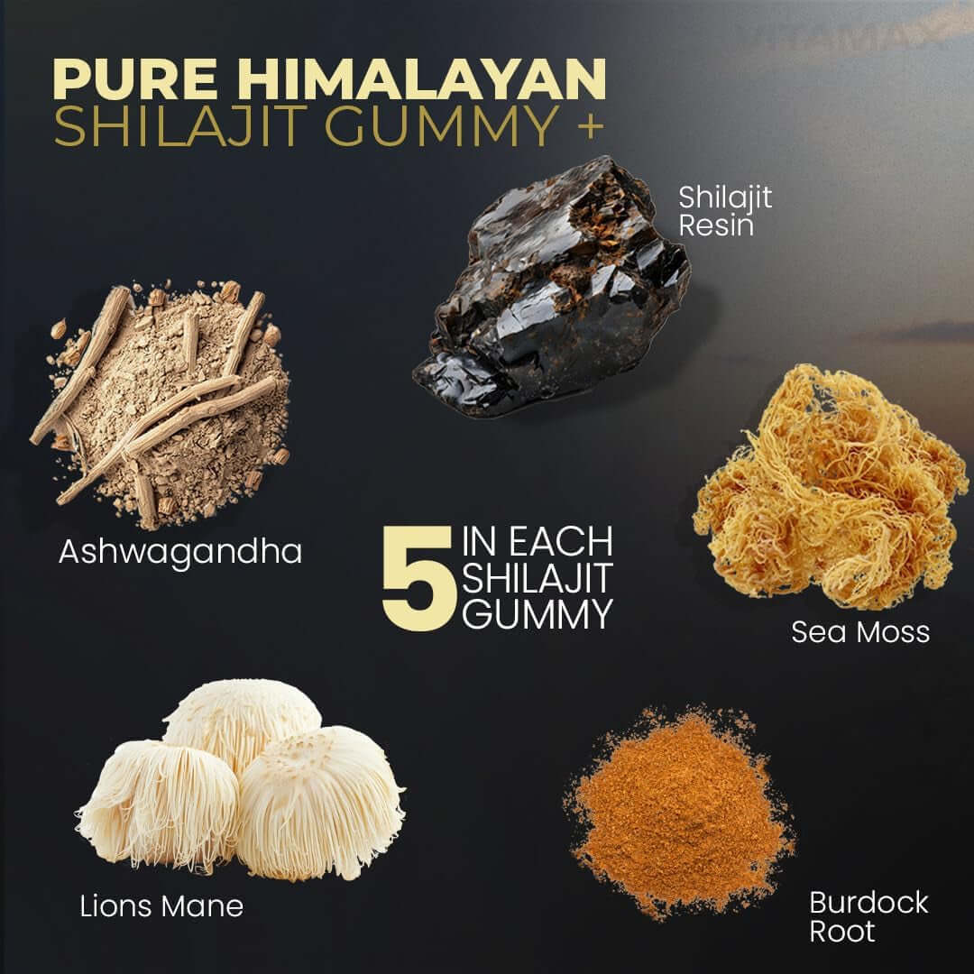 Organic Shilajit Gummies, Sea Moss, Ashwagandha, 105+ Trace Minerals – Organic Burdock Root & Lions Mane Mushroom - Blue Razz – Vegan & Non - Gmo – Made in USA – 60Ct - Vitamen Store