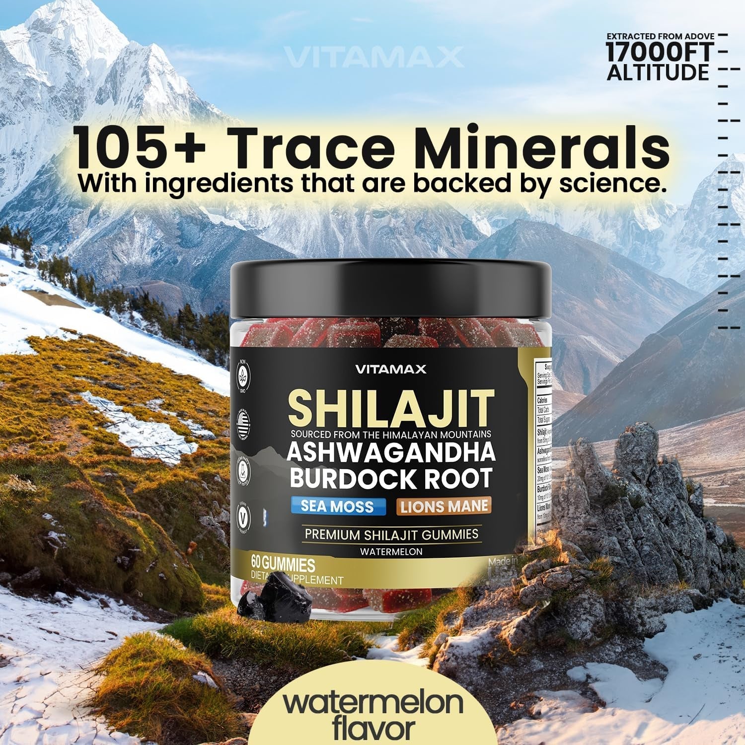 Organic Shilajit Gummies with Sea Moss, Ashwagandha, Burdock Root & Lion's Mane - Watermelon Flavor - Vegan, Non - GMO, USA Made - 60 Count - Vitamen Store