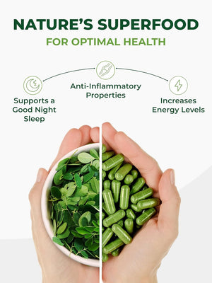 PURA VIDA MORINGA Organic Moringa Leaf Capsules - Single Origin - 500mg - 120 Count - Vitamen Store