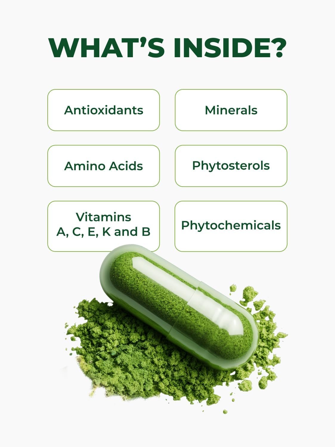 PURA VIDA MORINGA Organic Moringa Leaf Capsules - Single Origin - 500mg - 120 Count - Vitamen Store