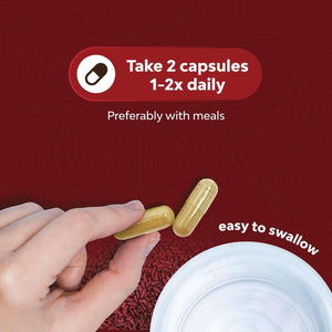 Red Yeast Rice with CoQ10 – 1200mg per Serving, Extra Strength, Vegan & Non - GMO – 120 Capsules - Vitamen Store