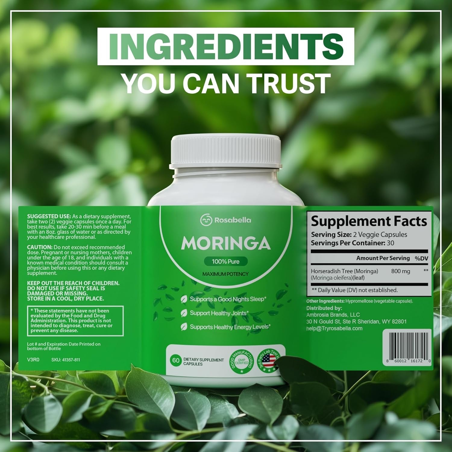 Rosabella Moringa Capsules - Pure Moringa Powder - 60 Count - Vitamen Store