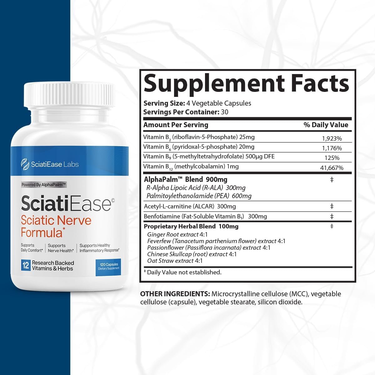 Sciatic Nerve Health Support Supplement - Nerve Support Formula with Alphapalm, Pea, Vitamin B Complex, Alpha Lipoic Acid 300Mg - 120 Capsules - Vitamen Store