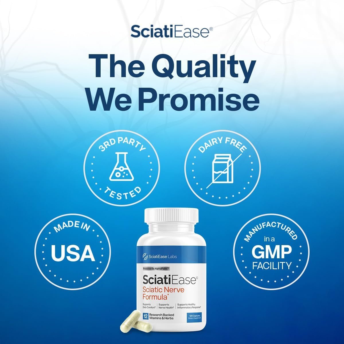 Sciatic Nerve Health Support Supplement - Nerve Support Formula with Alphapalm, Pea, Vitamin B Complex, Alpha Lipoic Acid 300Mg - 120 Capsules - Vitamen Store