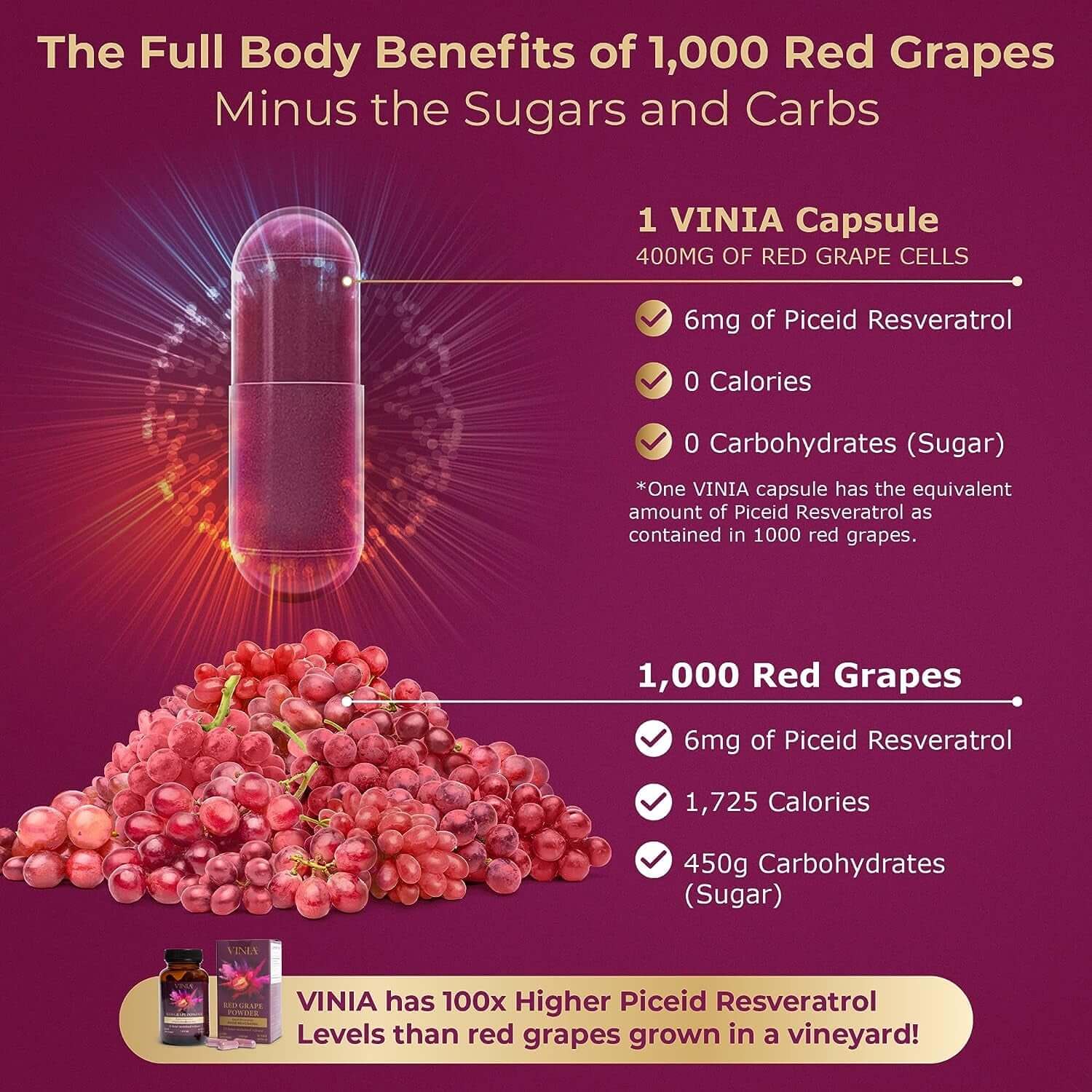 VINIA 12 - Hour Long - Lasting Piceid Resveratrol Supplement – 30 - Day Supply, Keto Friendly, Vegan & Non - GMO - Vitamen Store