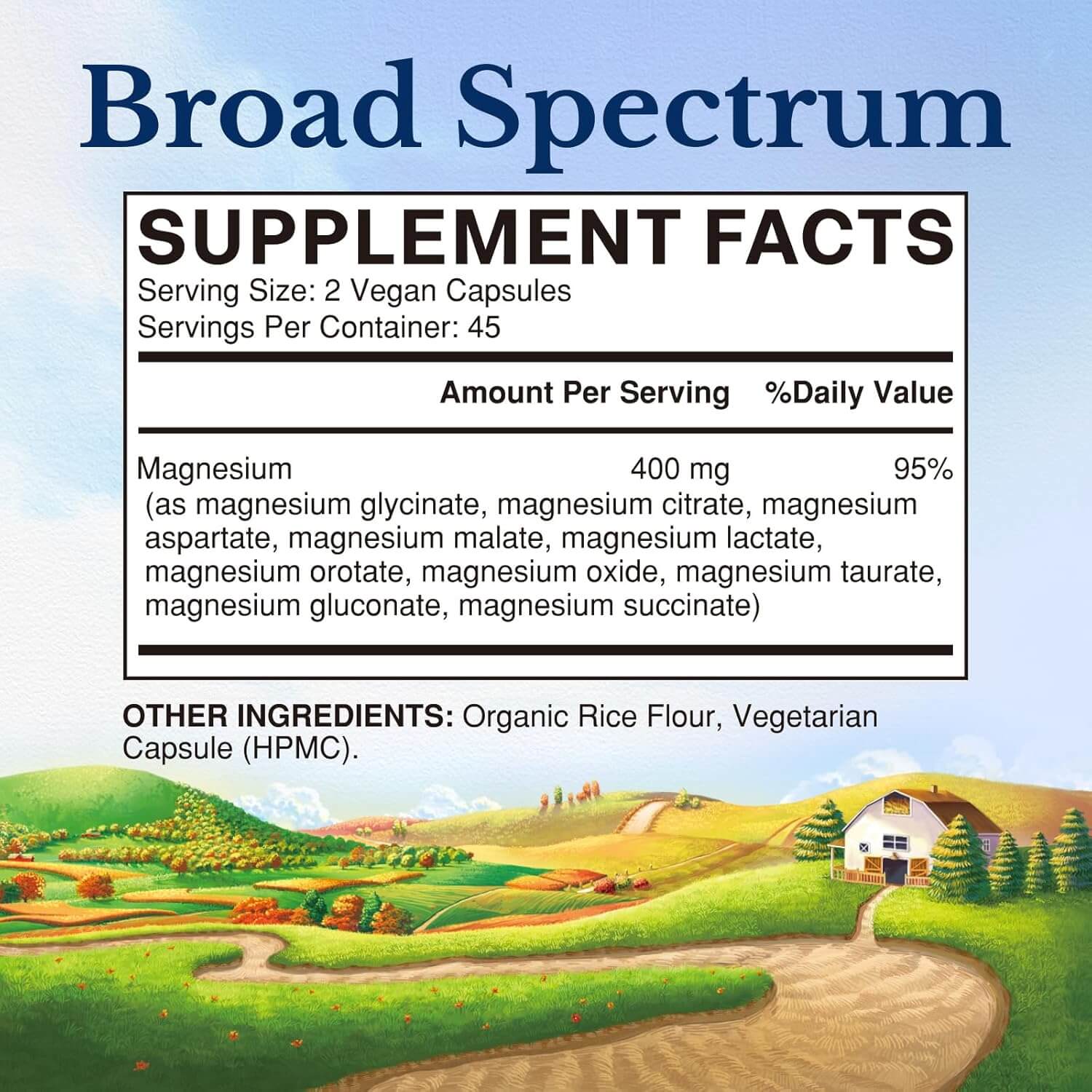 Vitalitown 10 in 1 Magnesium Complex Supplement - 400Mg Elemental Magnesium Chelated with Glycinate, Citrate, Malate, Taurate & More - for Sleep Muscle Heart Energy - Non - Gmo, Vegan, 90 Caps - Vitamen Store