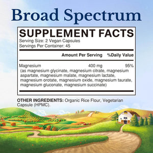 Vitalitown 10 in 1 Magnesium Complex Supplement - 400Mg Elemental Magnesium Chelated with Glycinate, Citrate, Malate, Taurate & More - for Sleep Muscle Heart Energy - Non - Gmo, Vegan, 90 Caps - Vitamen Store