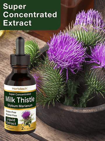 Milk Thistle Extract | 2 fl oz | Alcohol Free | Vegetarian, Non-GMO & Gluten Free Liquid | by Horbaach | Free Shipping | Vitamenstore.com