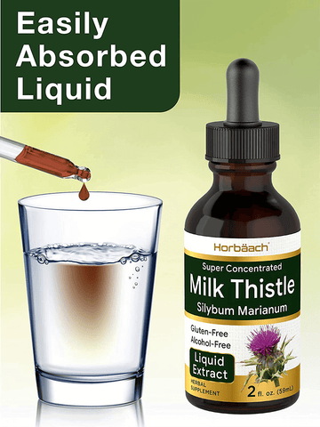 Milk Thistle Extract | 2 fl oz | Alcohol Free | Vegetarian, Non-GMO & Gluten Free Liquid | by Horbaach | Free Shipping | Vitamenstore.com