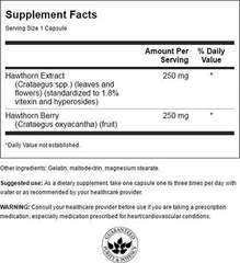 Swanson Hawthorn Extract (Standardized) 250 Milligrams 120 Capsules - vitamenstore.com
