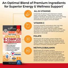 Vitamin B Complex with Vitamin C for Maximum Absorption - Methylcobalamin B12 & Folate Folic Acid Supplement - Vitamins B1 B2 B3 B5 B6 B7 B9 for Immune Energy & Nervous System Support - Non-Gmo -60Ct - vitamenstore.com