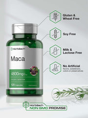 Maca Root Capsules | 120 Pills | High Potency Extract for Men and Women | Non-Gmo and Gluten Free Formula | by Horbaach - vitamenstore.com