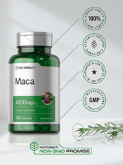 Maca Root Capsules | 120 Pills | High Potency Extract for Men and Women | Non-Gmo and Gluten Free Formula | by Horbaach - vitamenstore.com