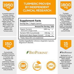Turmeric Curcumin with Bioperine 95% Curcuminoids 1950Mg with Black Pepper for Best Absorption, Nature'S Joint Support Supplement, Natural Vegan Tumeric Extract Nutrition Made Non-Gmo - 120 Capsules - vitamenstore.com