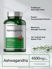 Ashwagandha Capsules | 120 Count | Maximum Strength | Gluten Free | by Horbaach - vitamenstore.com