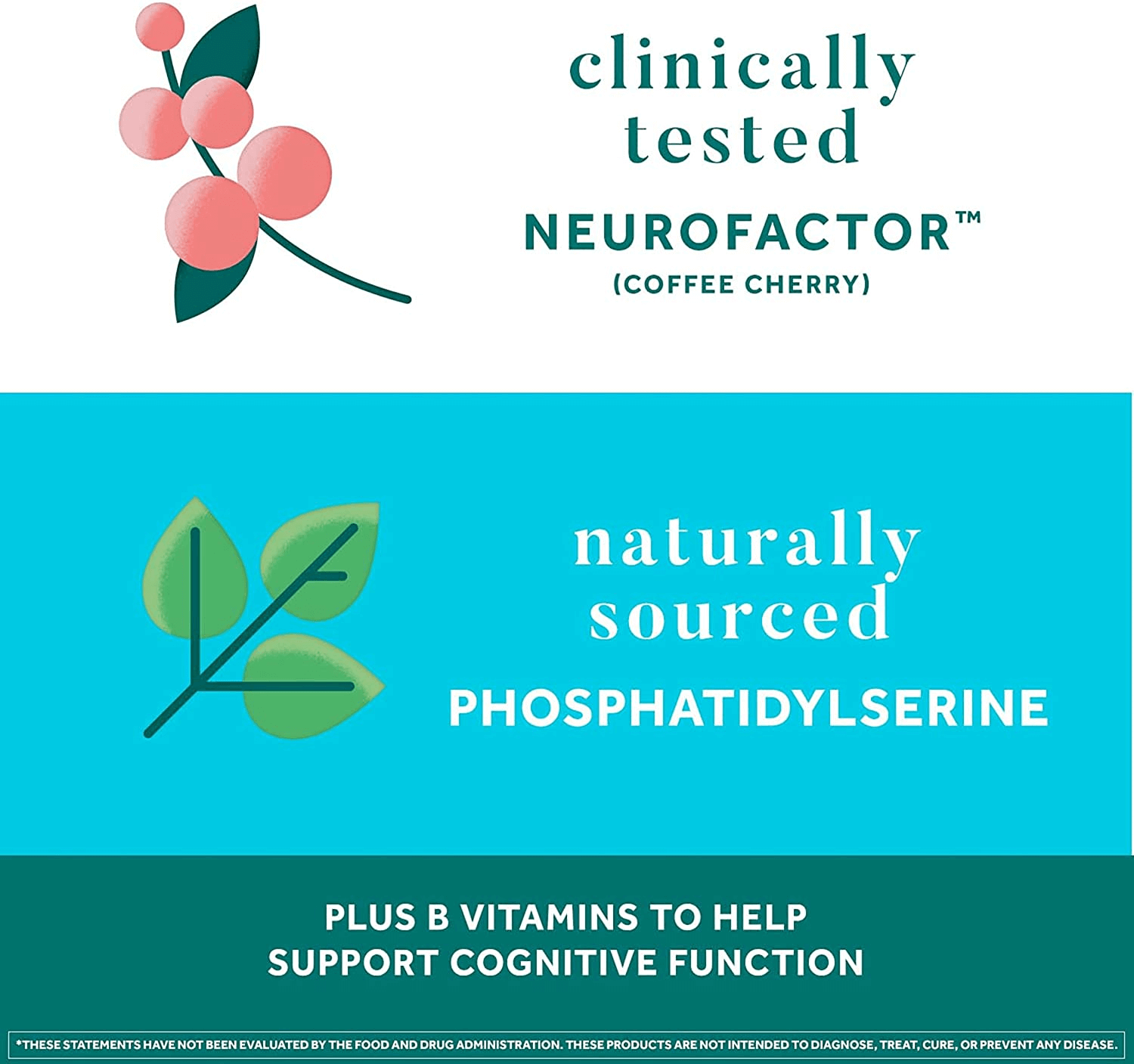 Neuriva Plus Strawberry Gummies – Phosphatidylserine & Neurofactor with Vitamins B6 & B12 – 50 Count - Vitamen Store